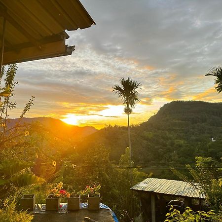 Rock View Cottage เอลลา ภายนอก รูปภาพ