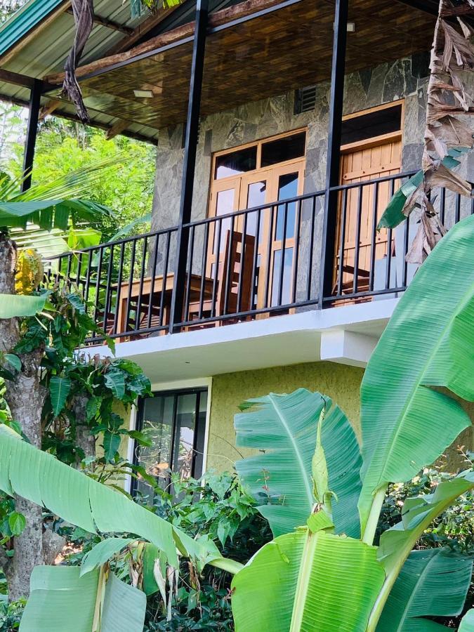 Rock View Cottage เอลลา ภายนอก รูปภาพ
