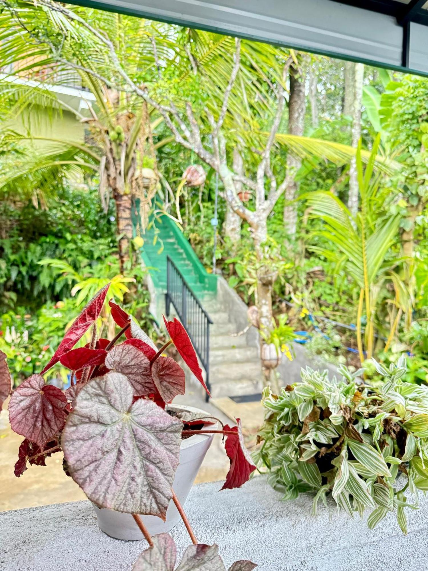 Rock View Cottage เอลลา ภายนอก รูปภาพ